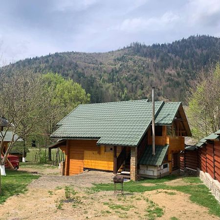 Еко будинок в горах Verkhnyaya Bystra Экстерьер фото